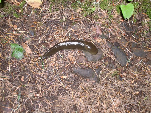 6.10.06 Table Mtn_3CR 007 